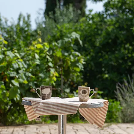 Teachers' House Апартаменты *